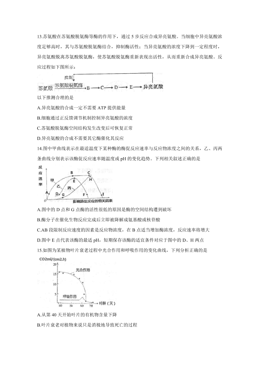 河北省衡水中学2021届高三生物上学期期中试题（Word版附答案）