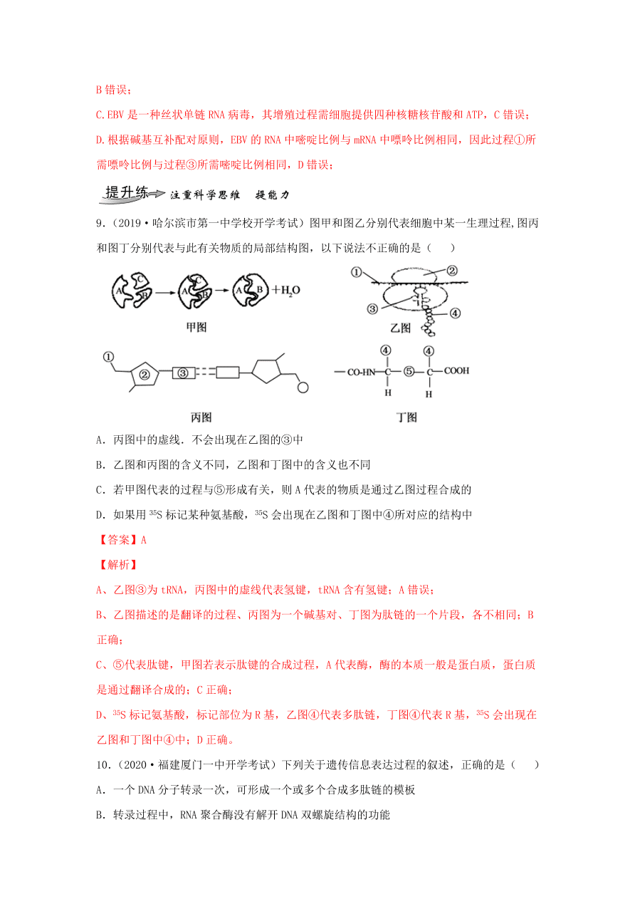 2020-2021学年高三生物一轮复习专题19 基因的表达（练）