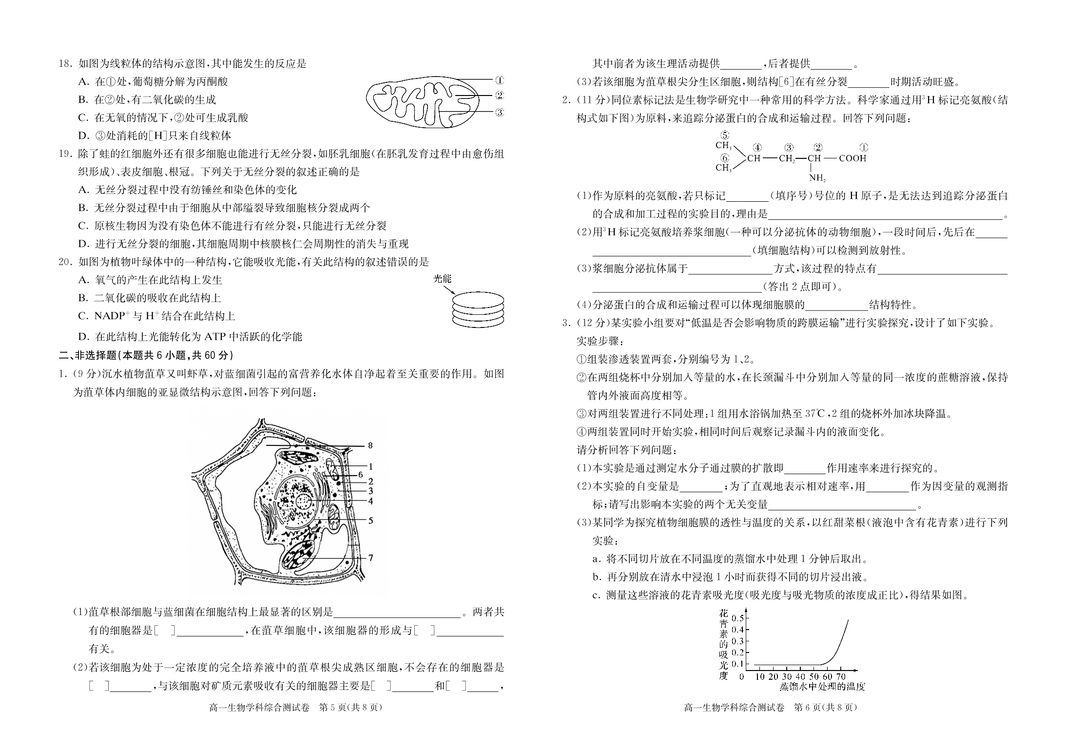 湖北省随州市第一中学2019-2020学年高一上学期综合测试生物试题（PDF版）   