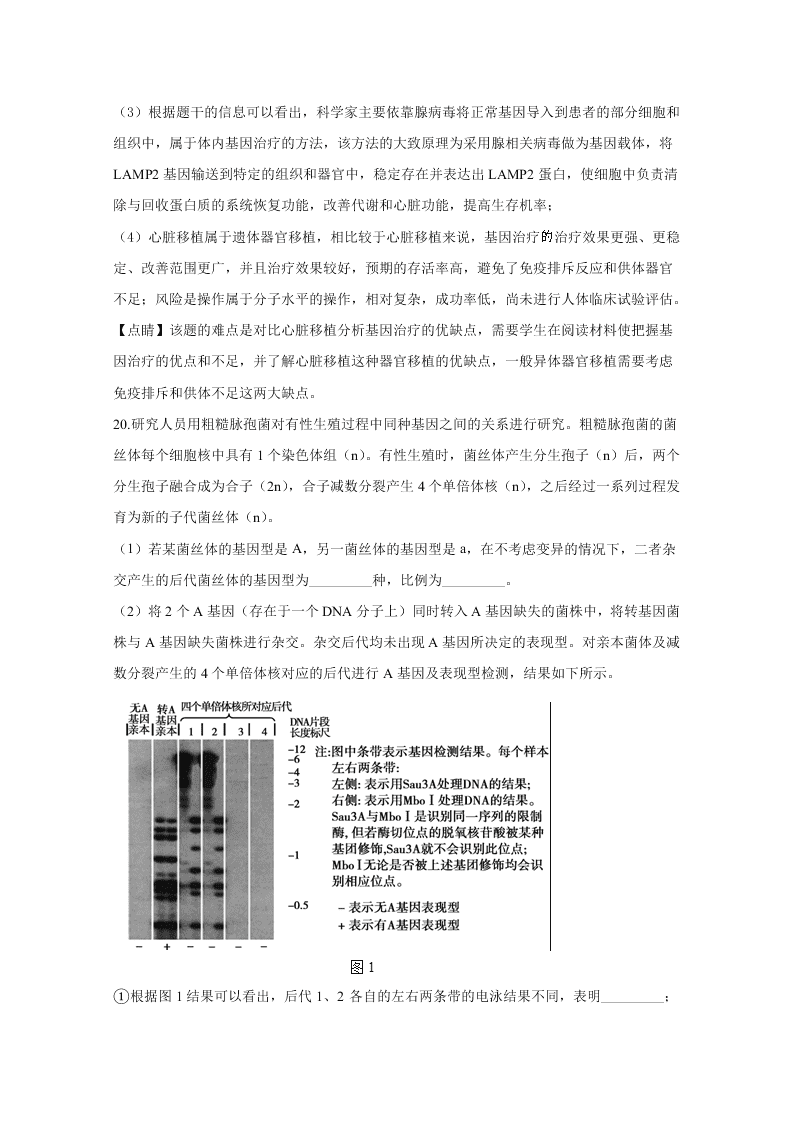 北京市朝阳区2020届高三生物二模试题（Word版附解析）