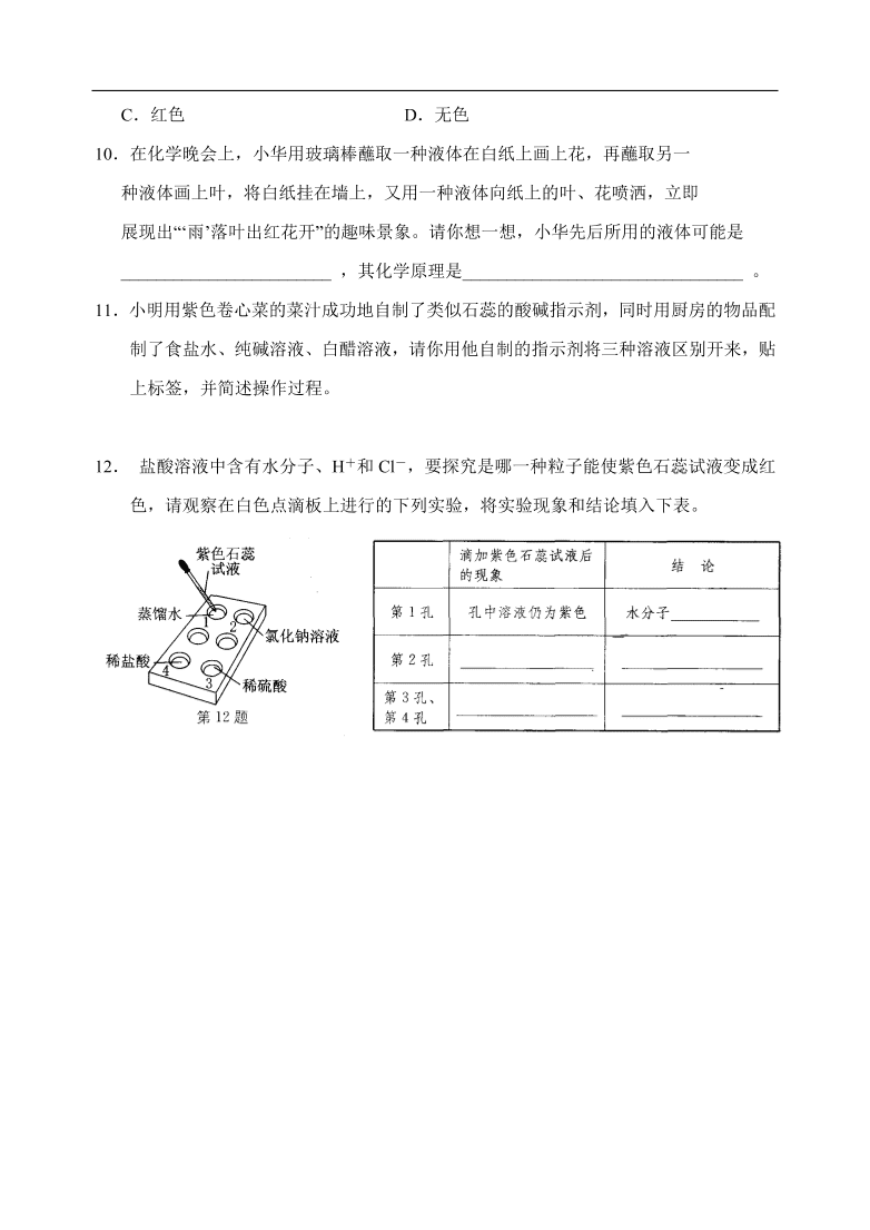 九年级化学专题复习   溶液的酸碱性 练习