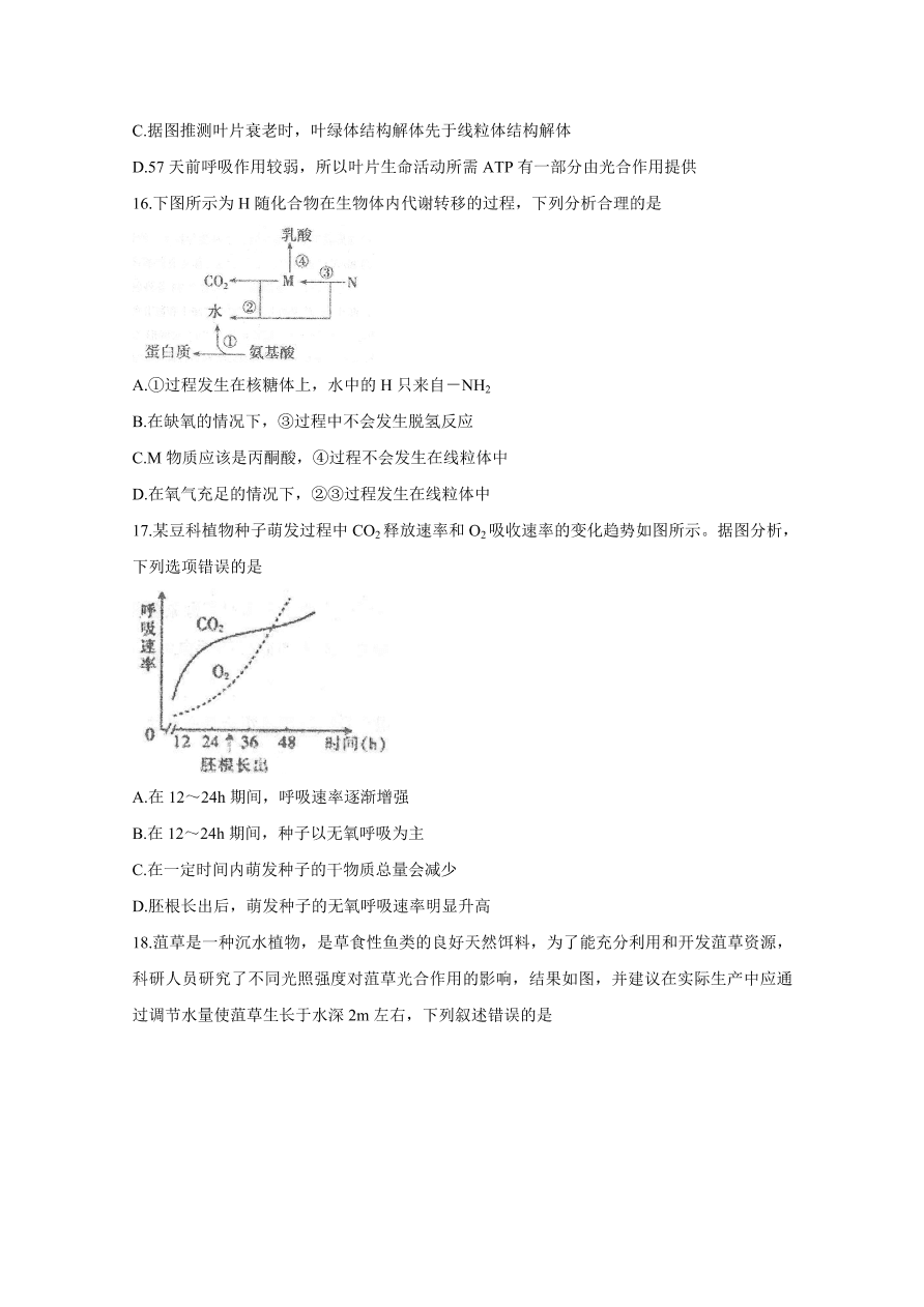 河北省衡水中学2021届高三生物上学期期中试题（Word版附答案）