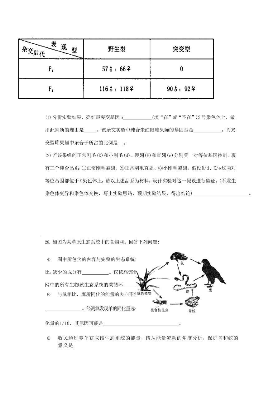 山东省日照市第一中学2020届高三生物上学期期中试题（Word版附答案）