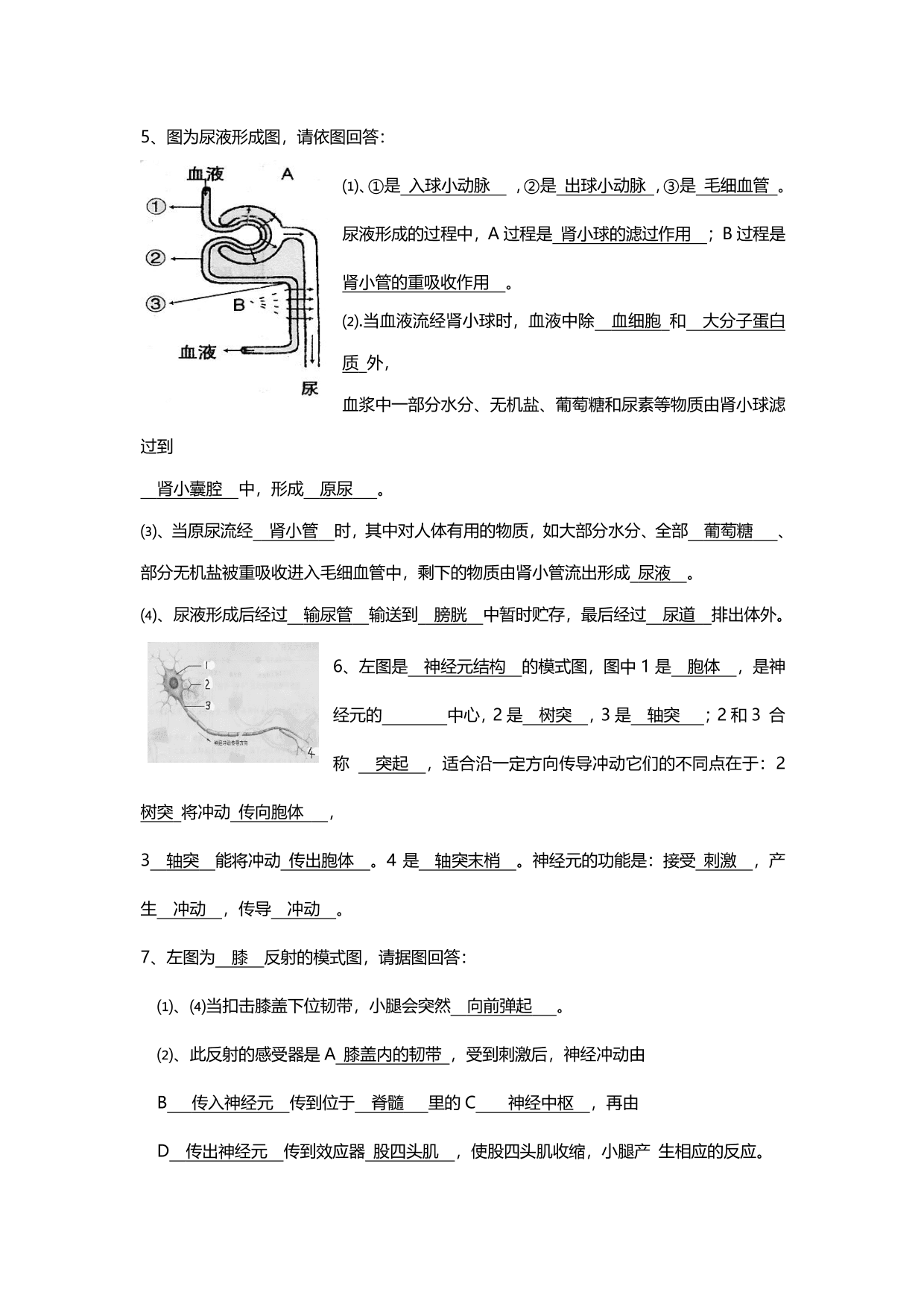 暑期预习衔接2020初一上学期生物全册知识点总结（pdf版）