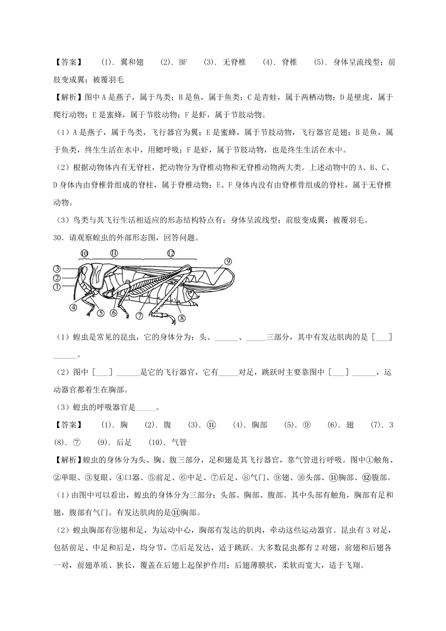 2020-2021八年级生物上学期期中测试卷01（附答案）