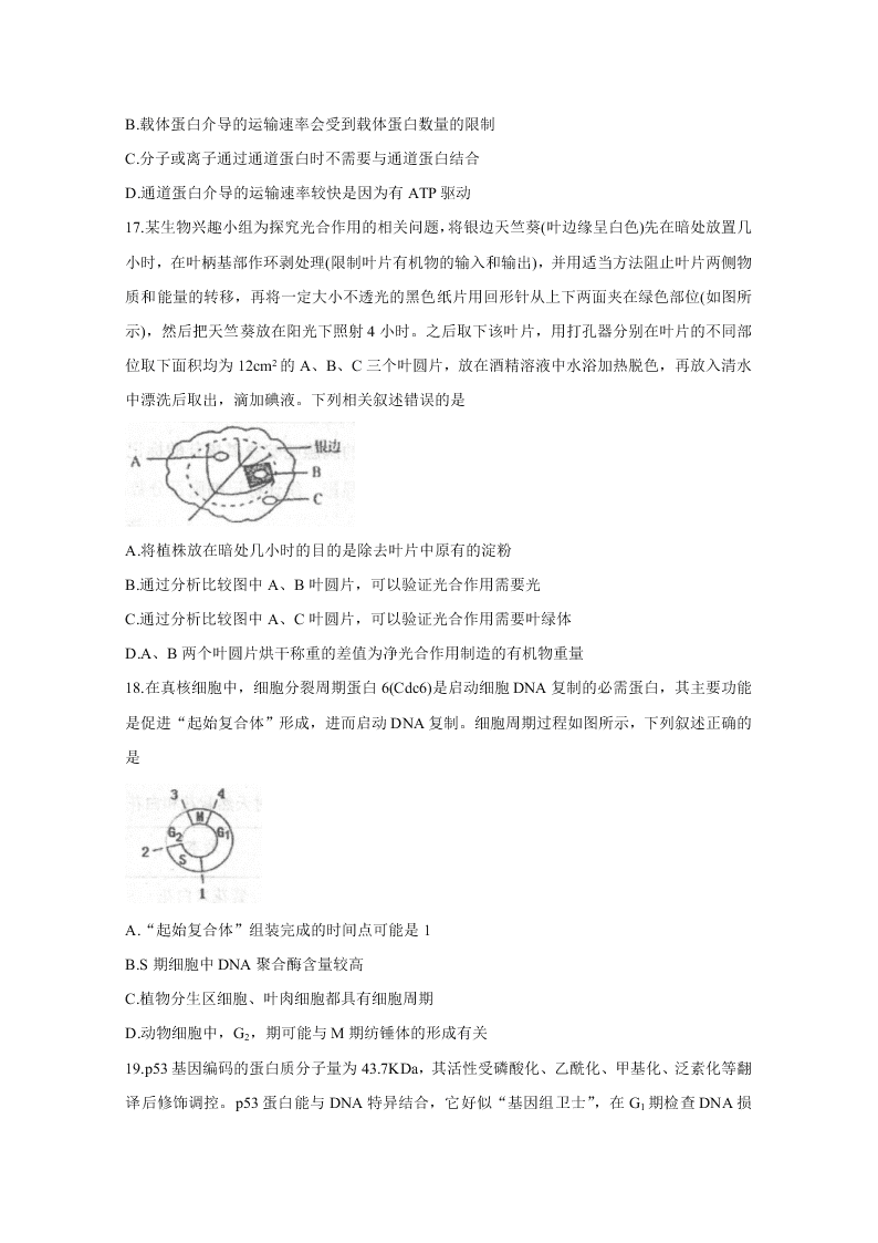 山东省潍坊高密市等三县市2021届高三生物10月检测试题（Word版附答案）