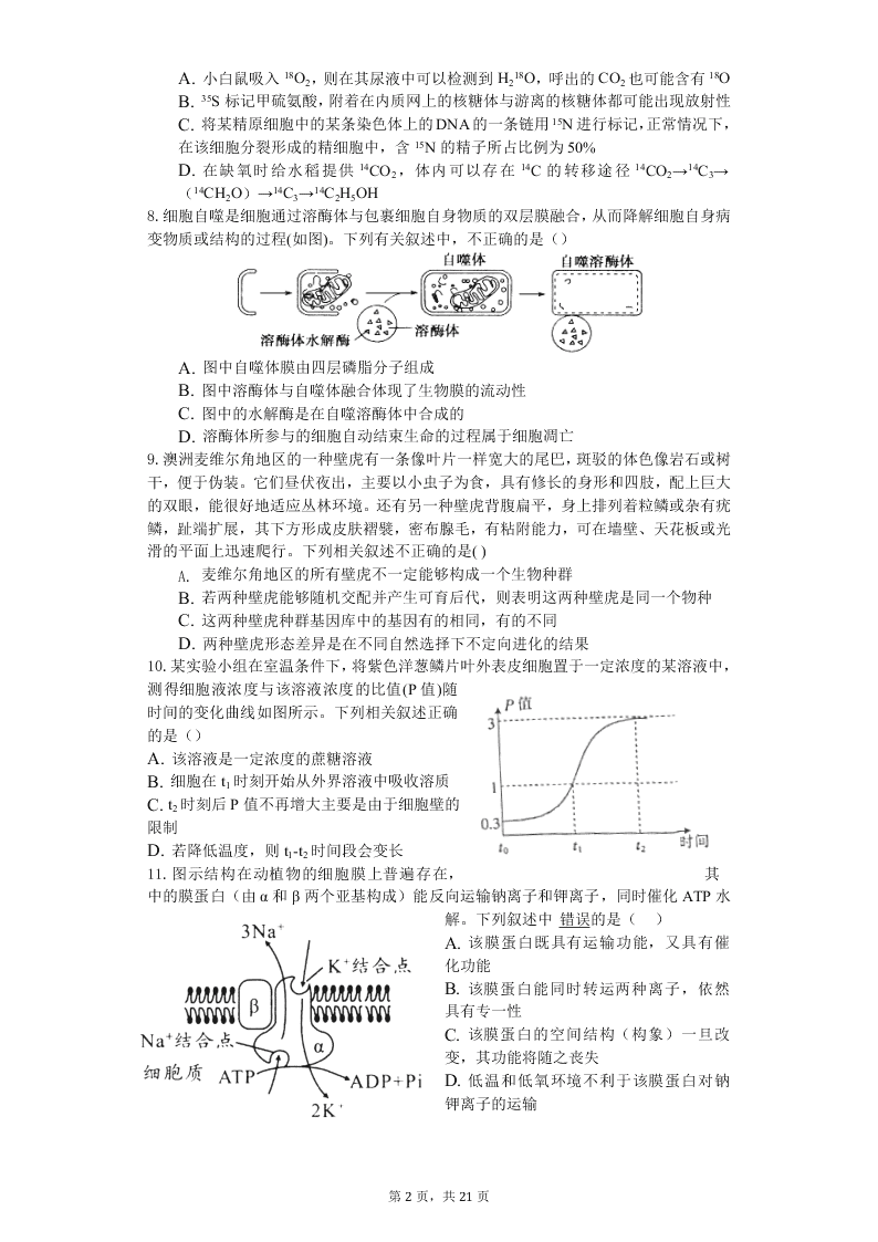 安徽省黄山市屯溪第一中学2021届高三生物10月月考试题（Word版附答案）