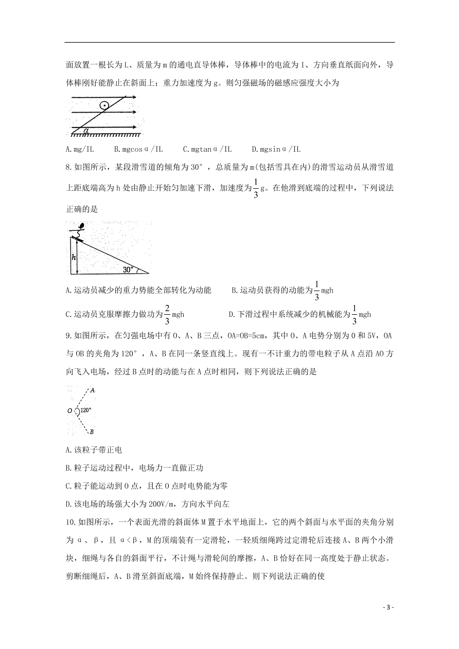 河南省洛阳市2021届高三物理上学期期中试题（含答案）