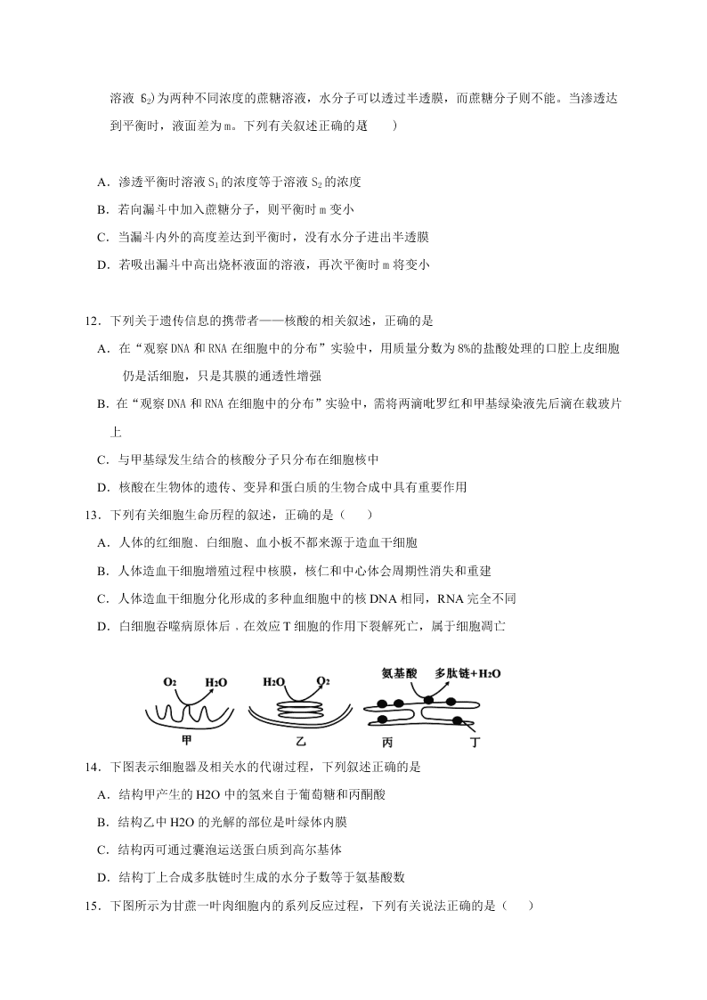 江西省奉新县第一中学2020-2021学年高二上学期月考生物试题（含答案）