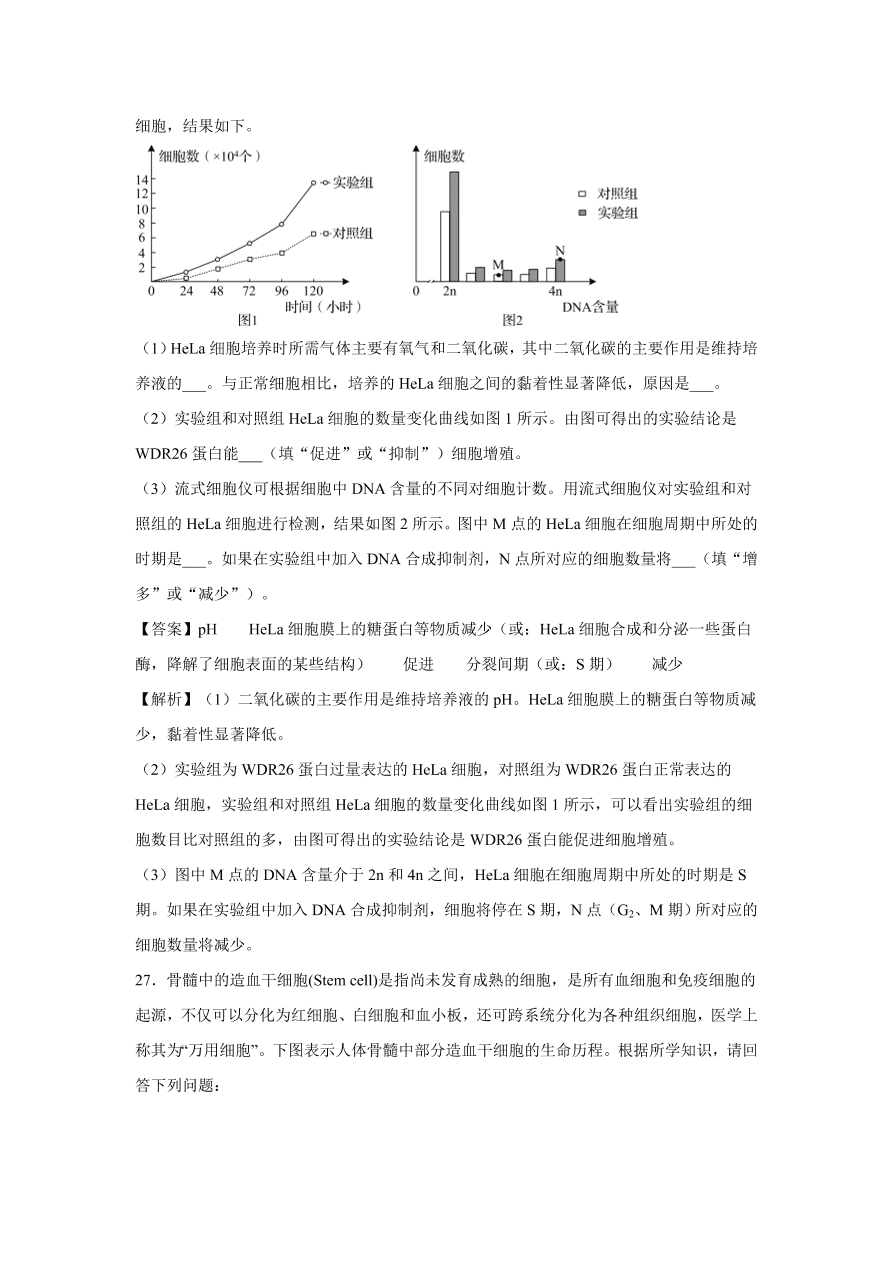 2020-2021学年高考生物精选考点突破专题06 细胞的增殖、分化、衰老、凋亡和癌变