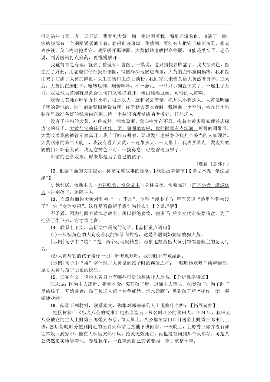 新人教版 七年级语文上册 第五单元 猫 期末复习