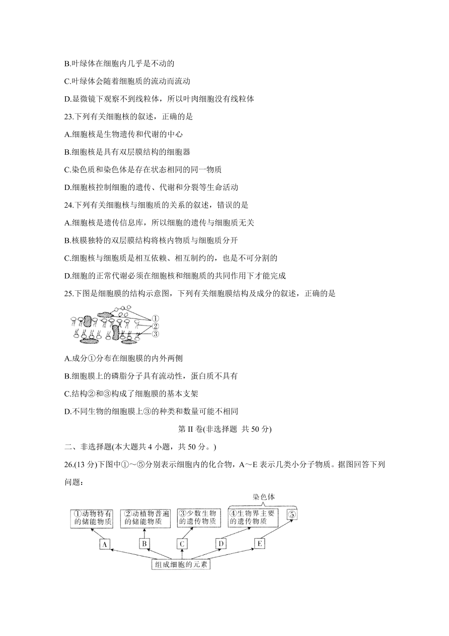 湖南省邵阳县2020-2021高一生物上学期期中试题（附答案Word版）