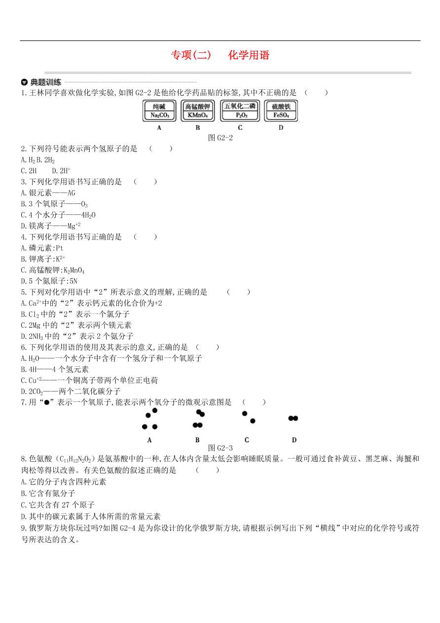 中考化学专项复习专题二 化学用语练习