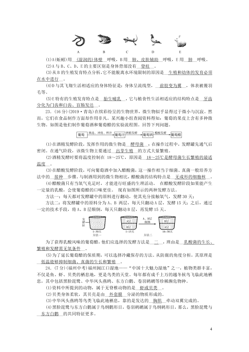 八年级生物上册期末检测题（附答案新人教版）