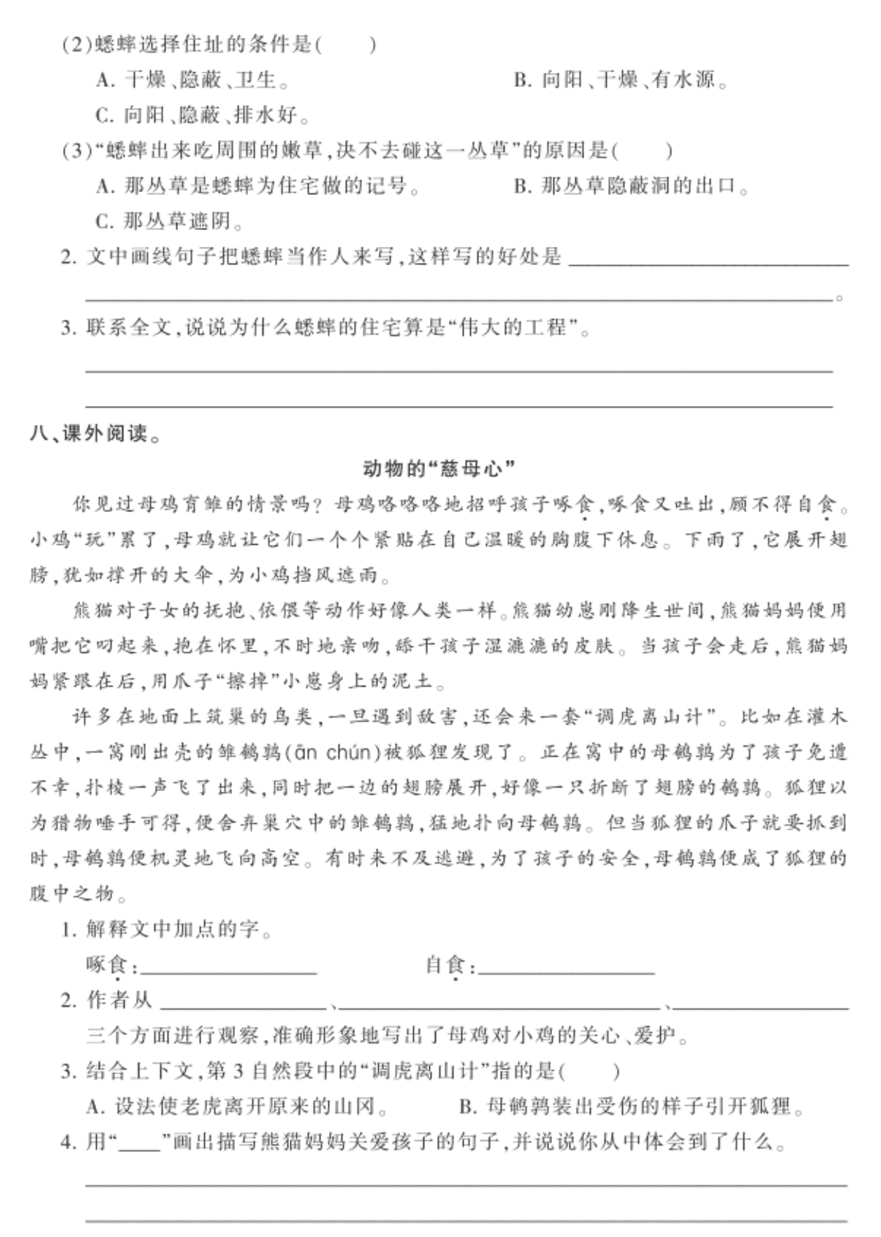 2020部编人教版四年级（上）语文 11.蟋蟀的住宅 练习题（pdf）