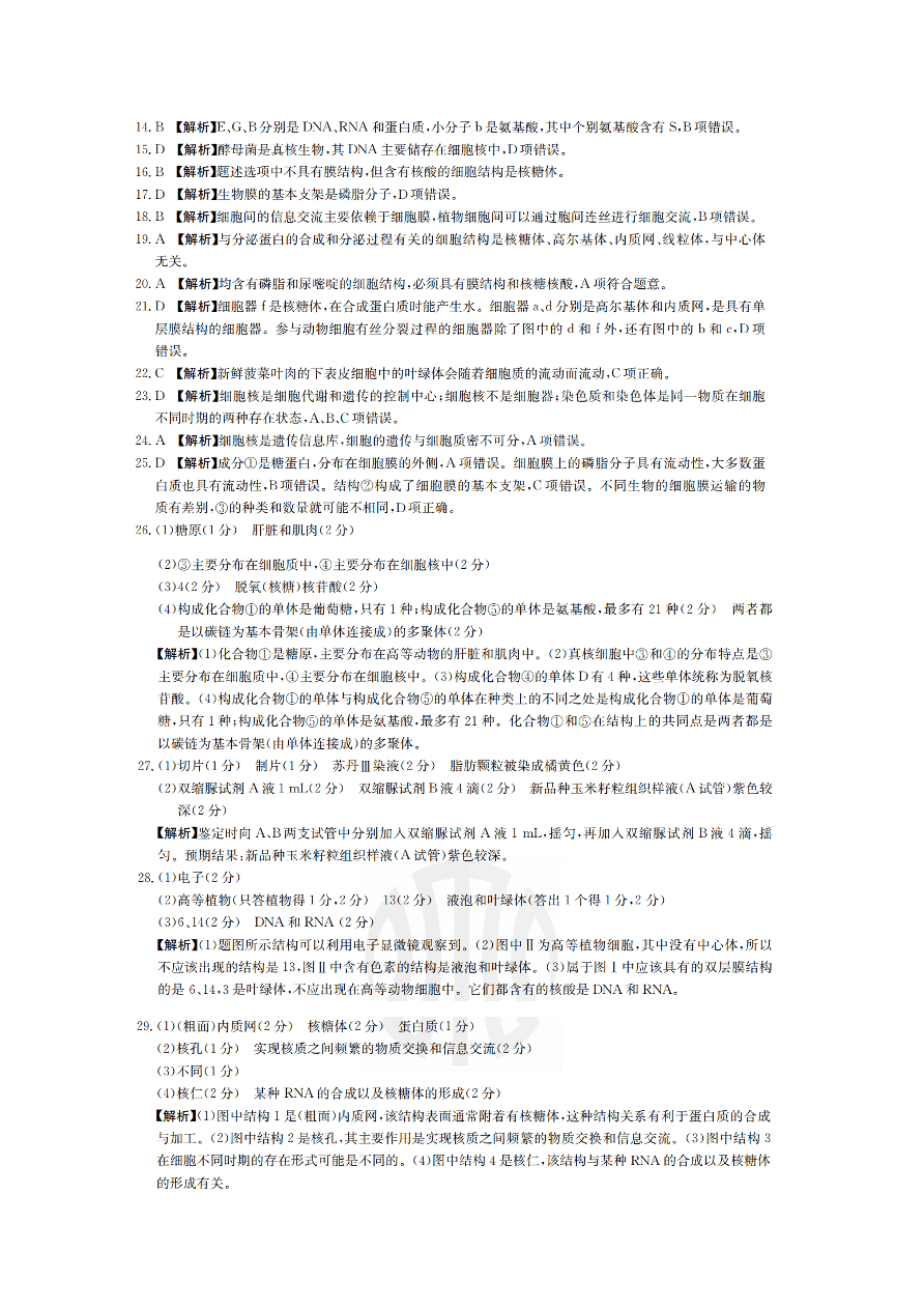 湖南省邵阳县2020-2021高一生物上学期期中试题（附答案Word版）