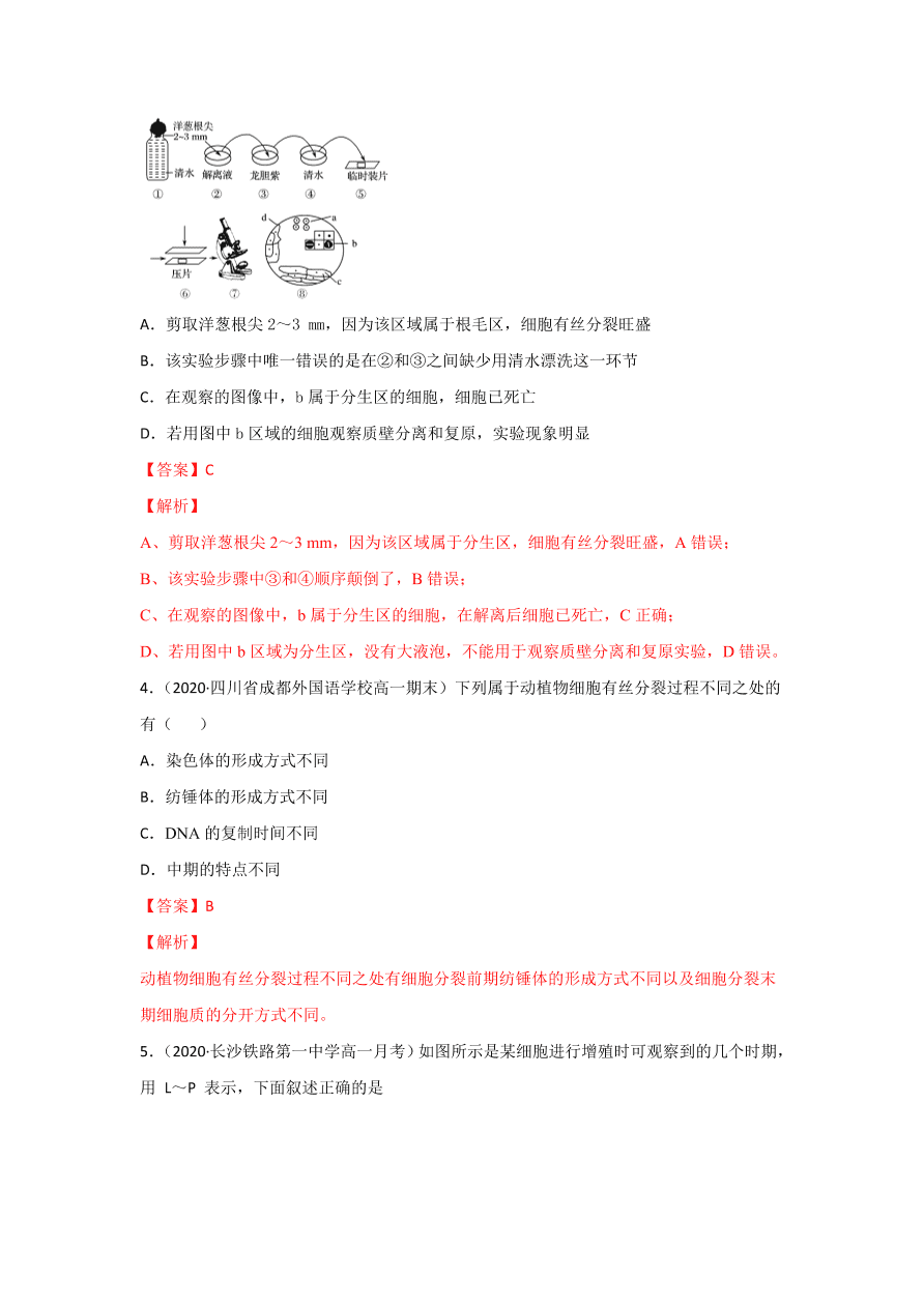 2020-2021学年高三生物一轮复习专题11 细胞的增殖（练）