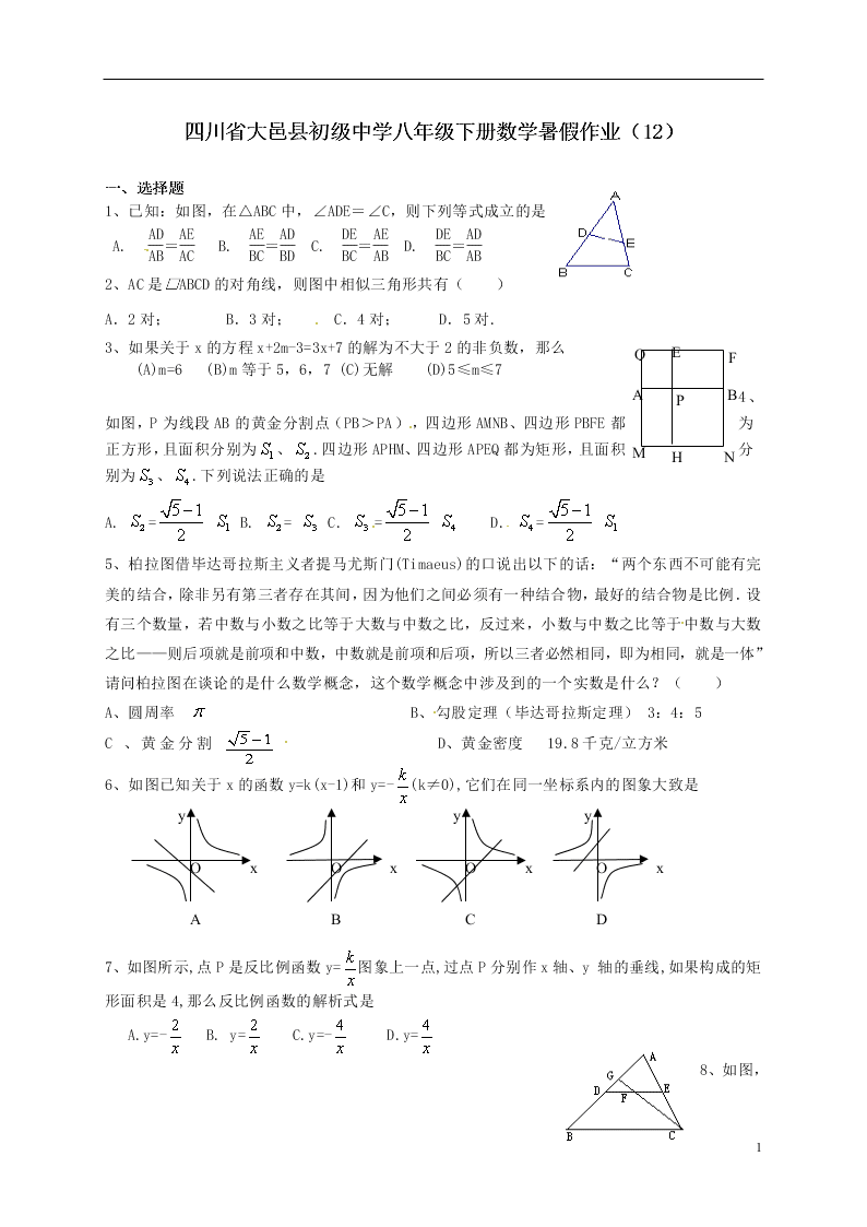 四川省大邑县初级中学八年级下册数学暑假作业（12）