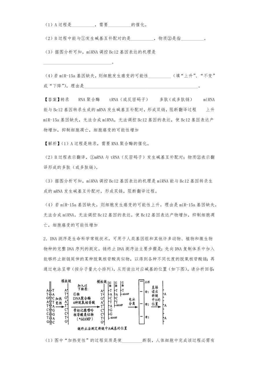 人教版高三生物下册期末考点复习题及解析：DNA是主要的遗传物质、结构、复制和基因的表达