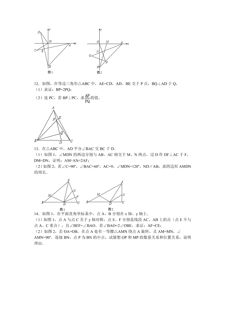 八年级数学上册几何期末综合复习题1