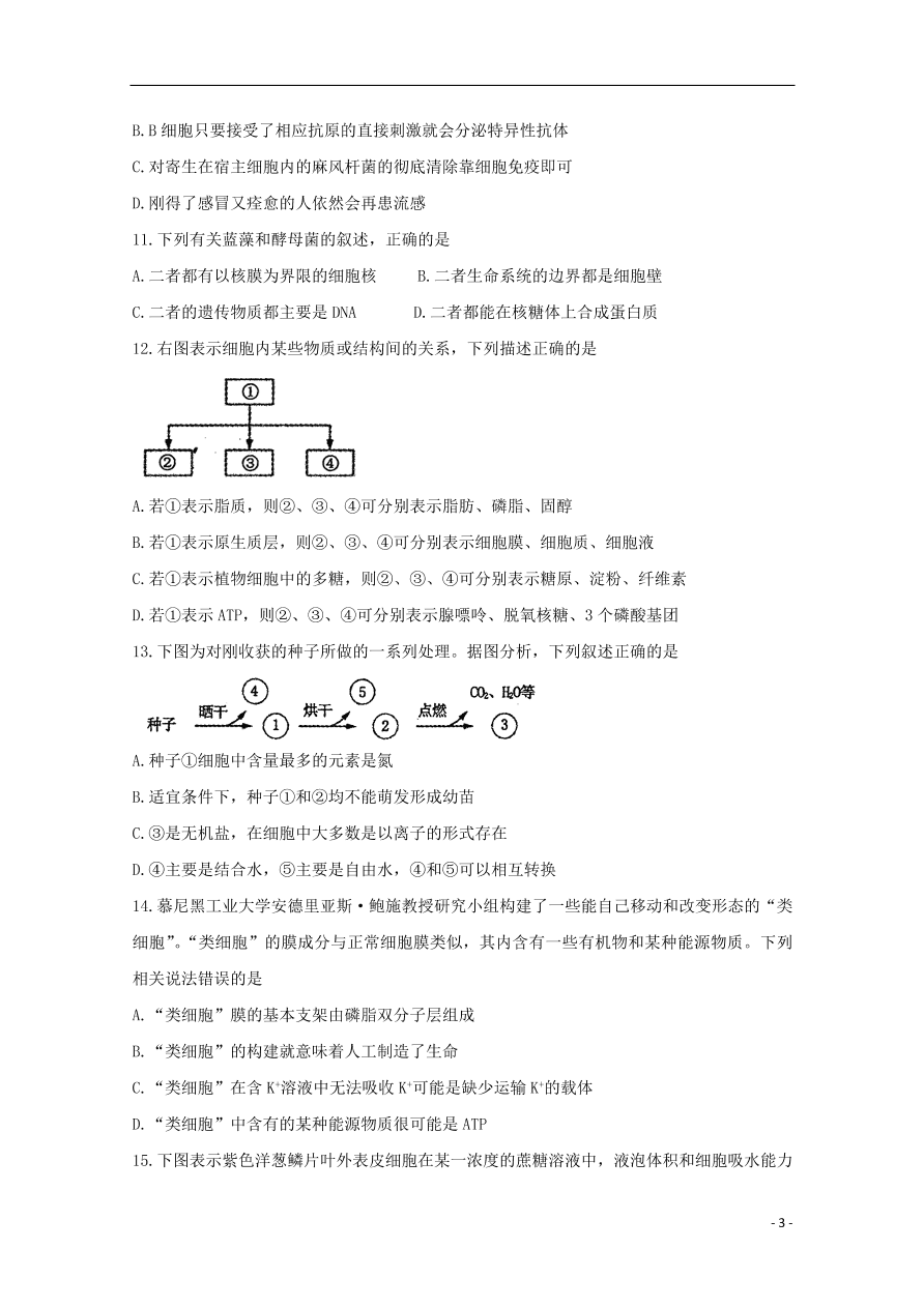 河南省洛阳市2021届高三生物上学期期中试题（含答案）