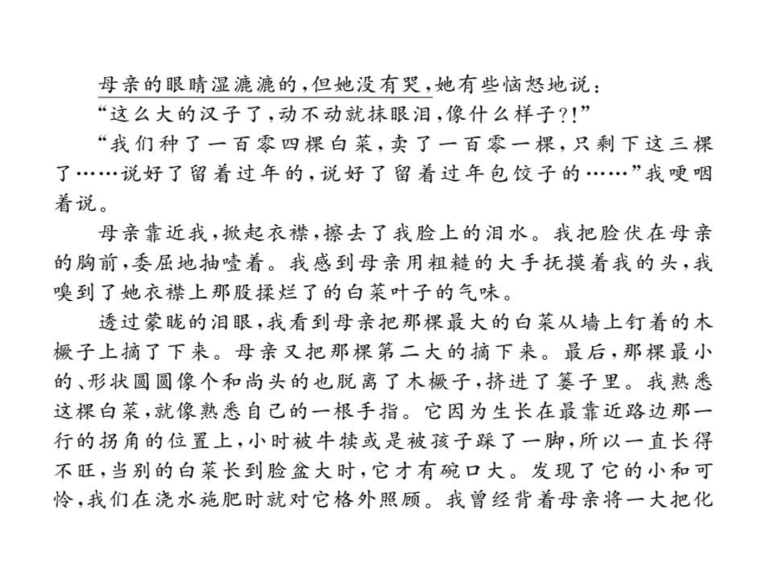 苏教版七年级语文上册第二单元检测卷（PDF）