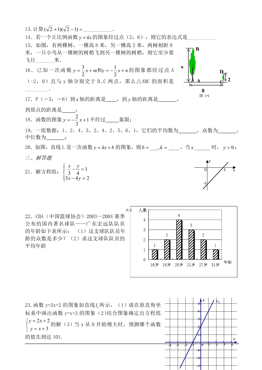 北师大版八年级数学上册期末测试卷（5）