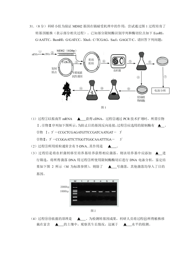 2020年第二学期南京市第二十九中学高二生物试卷（word版无答案）   