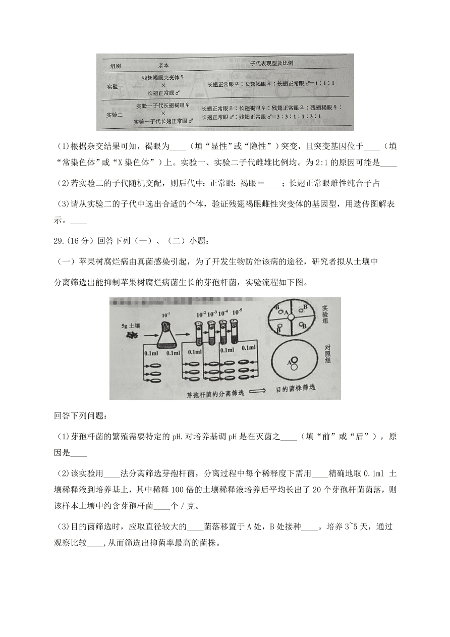 浙江省嘉兴市2021届高三生物12月测试试题（附答案Word版）