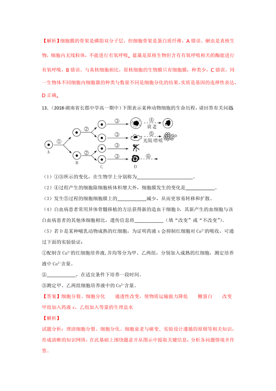 2020-2021学年高三生物一轮复习专题13 细胞的分化、衰老、凋亡和癌变（练）
