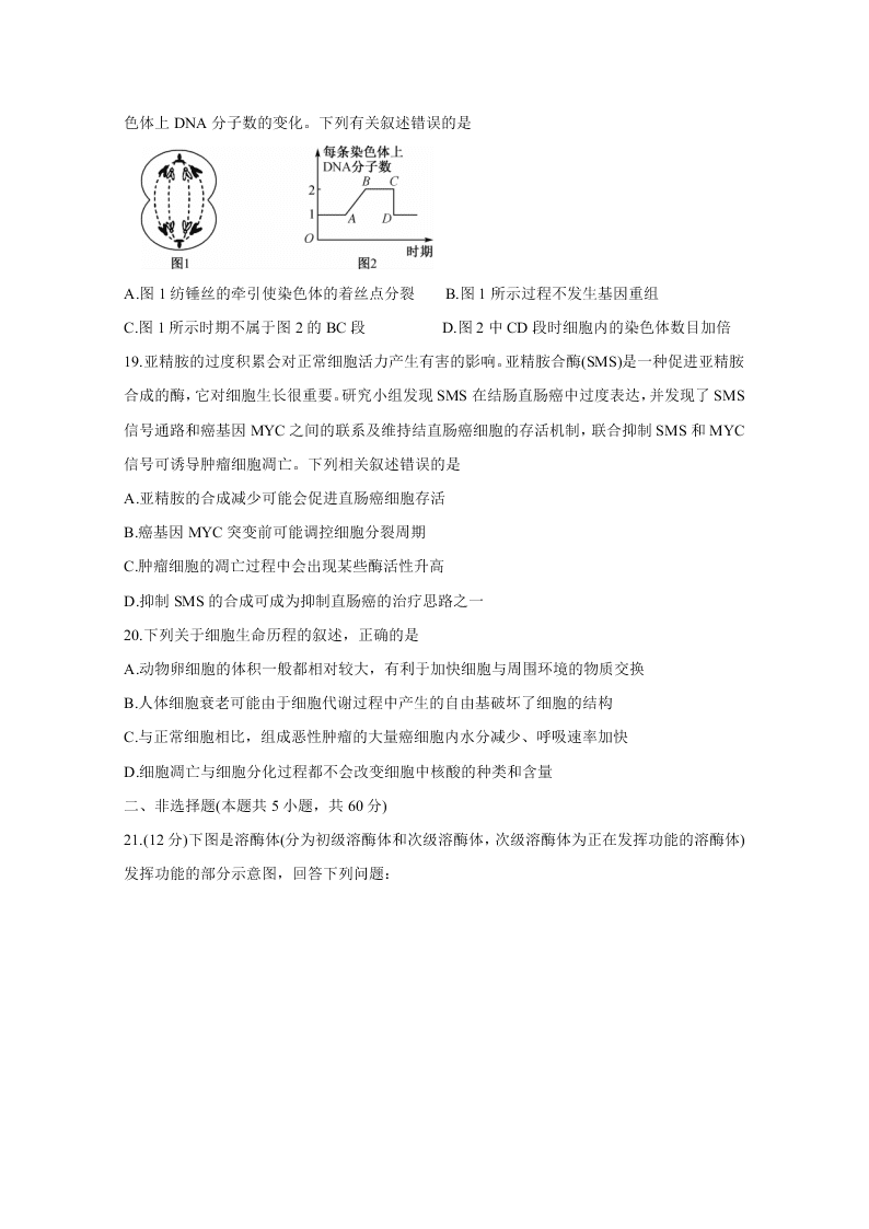 河南省2021届高三生物10月联考试题（Word版附答案）