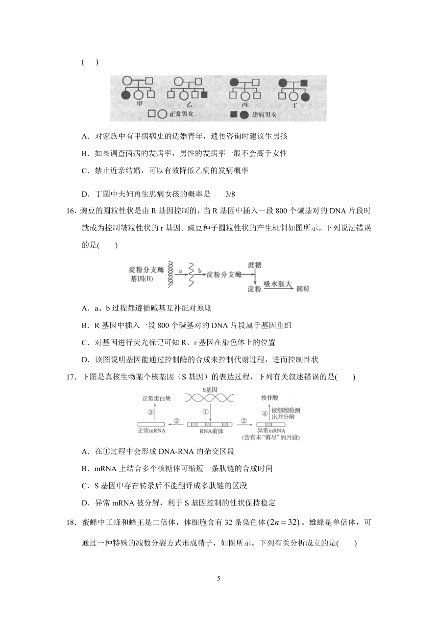 河北省实验中学2021届高三生物上学期期中试题（附答案Word版）