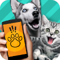 Pet Translator2023最新版下载