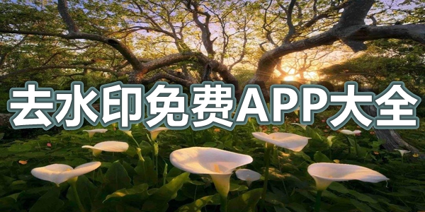 去水印免费APP大全