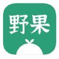 野果小说阅读器app