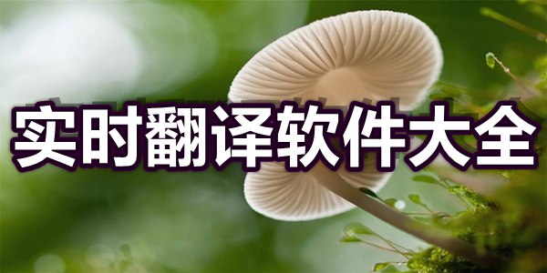 实时翻译软件大全